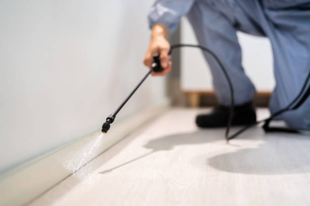 Licensed Termite Control service in Greenville County County, SC - Nex Pest Control