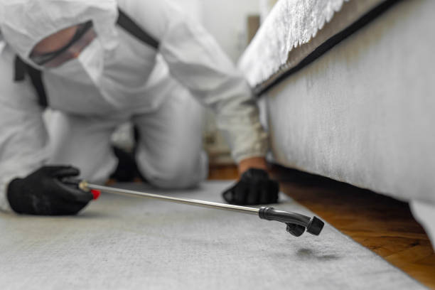 Professional Termite Control technician working in Greenville County County, SC